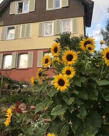 Sonnige Ferienwohnung Schramberg Eksteriør billede