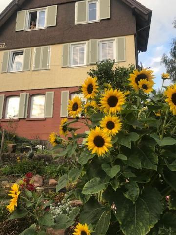 Sonnige Ferienwohnung Schramberg Eksteriør billede